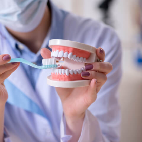 dentist showing how to properly brush your teeth